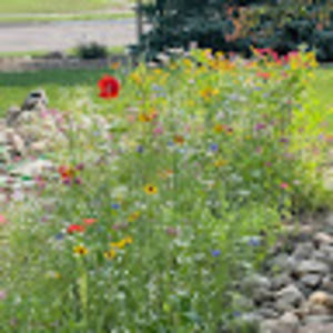 Meet your Posher, Ben